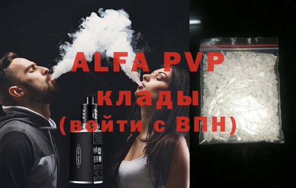 крисы Новозыбков