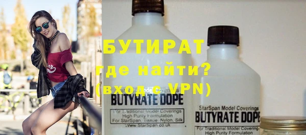 индика Алагир