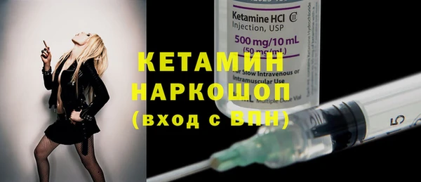 крисы Новозыбков