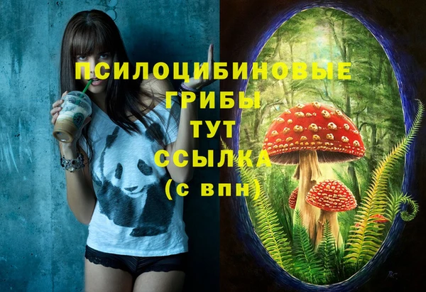 крисы Новозыбков