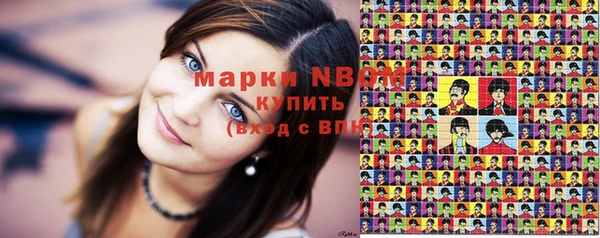 крисы Новозыбков