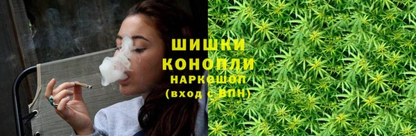 мдпв Новодвинск