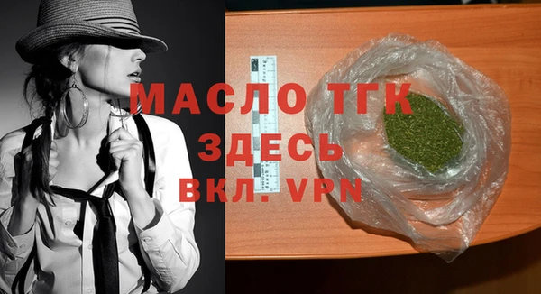 индика Алагир