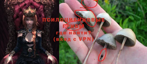 крисы Новозыбков