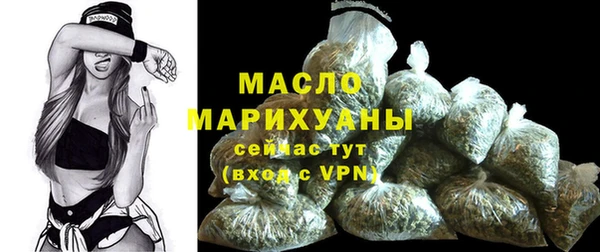 крисы Новозыбков