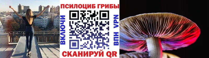 Псилоцибиновые грибы прущие грибы  Ак-Довурак 